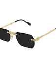Gafas de Sol Cartier CT0499S