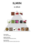 Perfume Ilmin Il Male