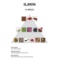 Perfume Ilmin Il Male