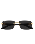 Gafas Cartier - CT0579S-001 55