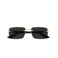 Gafas Cartier - CT0579S-001 55