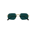 Gafas de Sol Cartier CT0616S-003 54