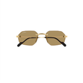 Gafas de Sol Cartier CT0616S-002 54