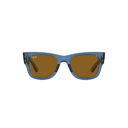 Gafas de Sol RayBan 0RB0840S