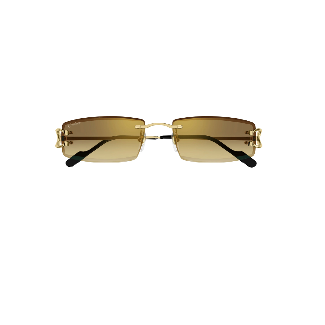 Gafas de sol Cartier CT0465S-004