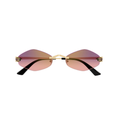 Gafas de sol Cartier CT0433S 004