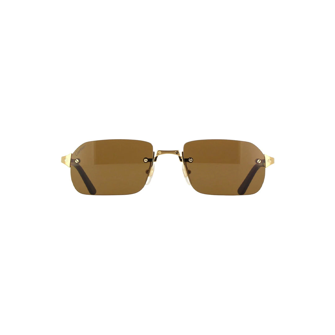 Gafas de Sol Cartier CT0460S