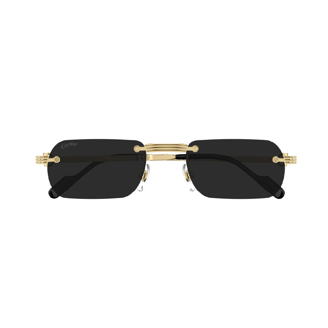 Gafas de Sol Cartier CT0499S
