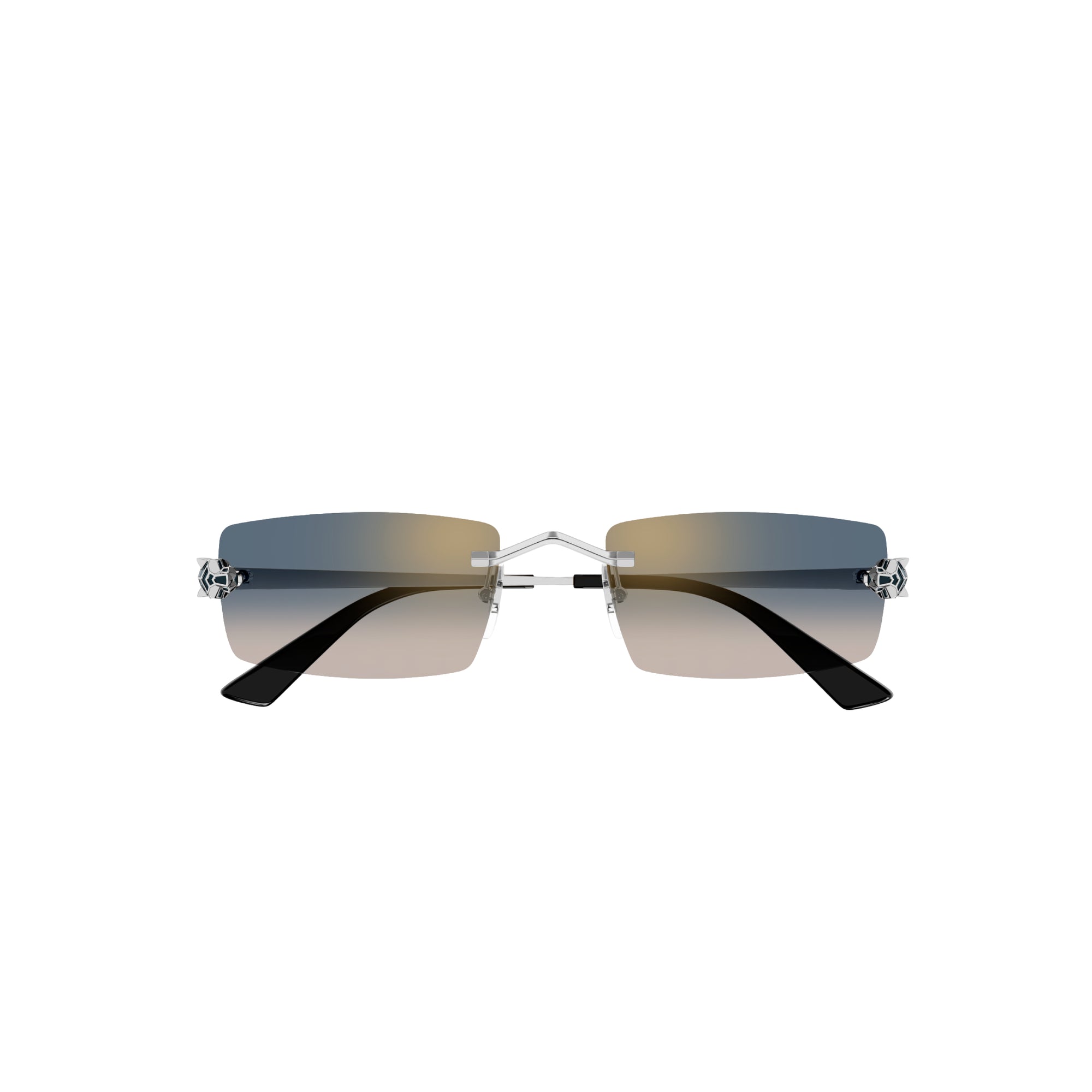Gafas de sol Cartier CT0598S-002 55
