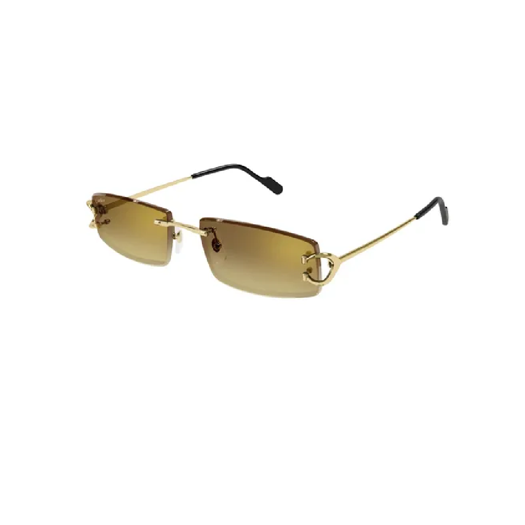 Gafas de sol Cartier CT0465S-004