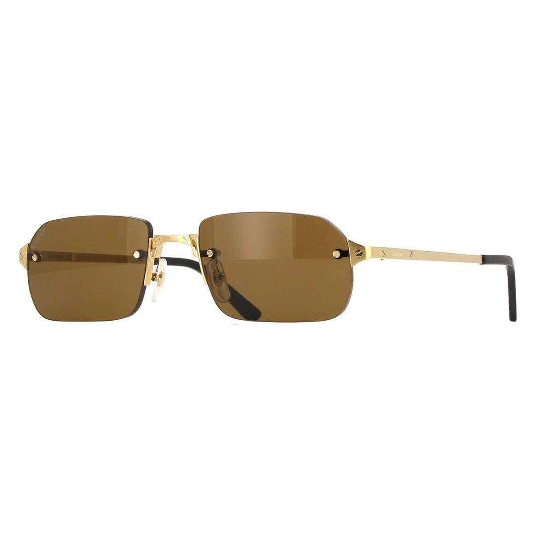 Gafas de Sol Cartier CT0460S