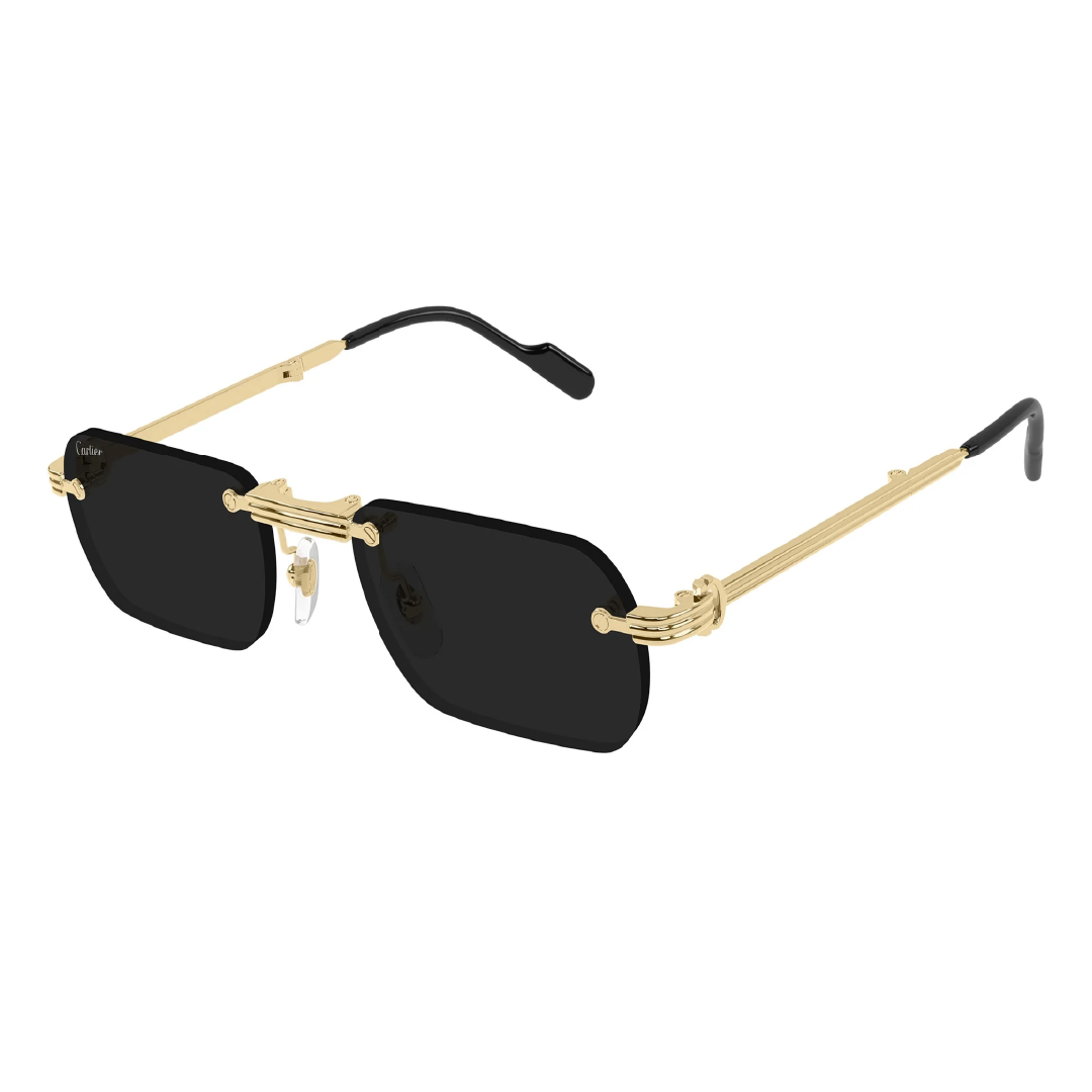 Gafas de Sol Cartier CT0499S