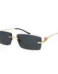 Gafas de Sol Cartier CT0430S