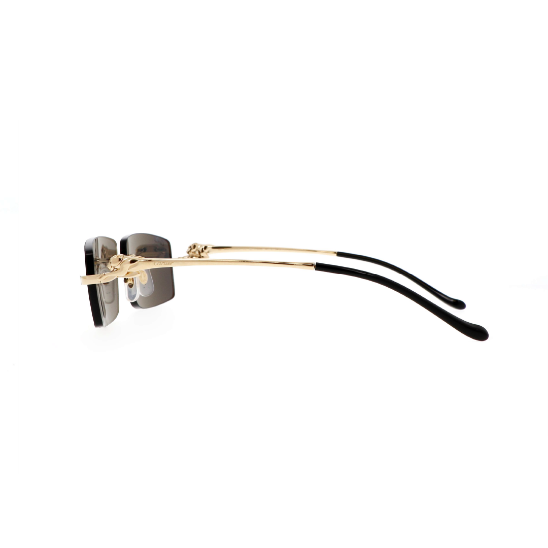 Gafas de Sol Cartier CT0430S