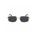 Gafas de Sol Cartier CT0271S-001