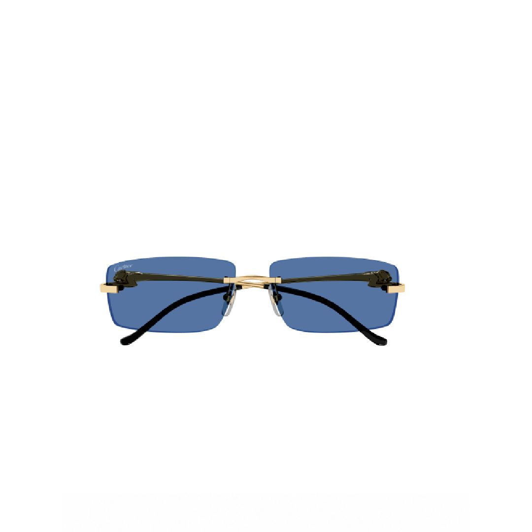 Gafas de Sol Cartier CT0430S-004