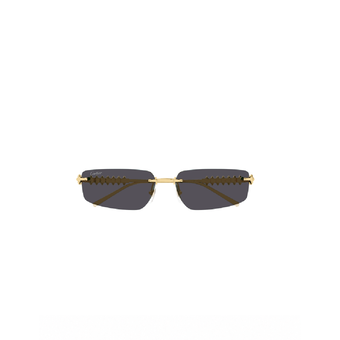 Gafas de Sol Cartier CT0544S-002