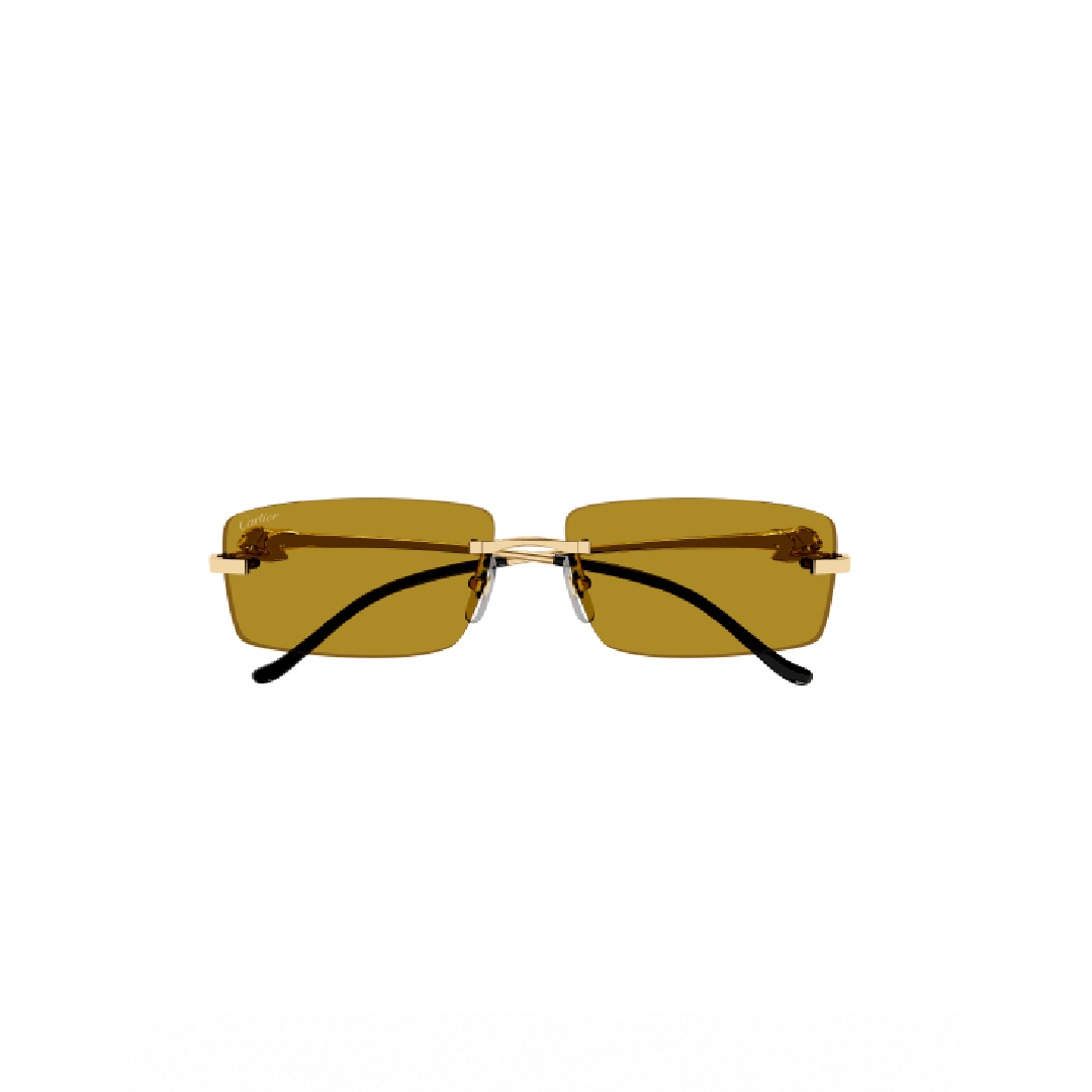 Gafas de Sol Cartier CT0430S-003
