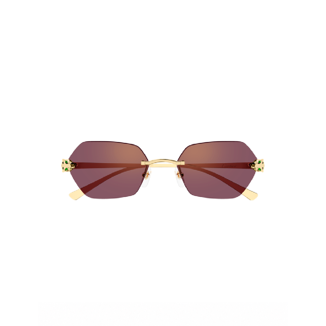 Gafas de Sol Cartier CT0636S-003