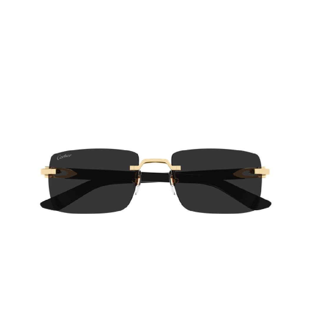 Gafas Cartier - CT0579S-001 55