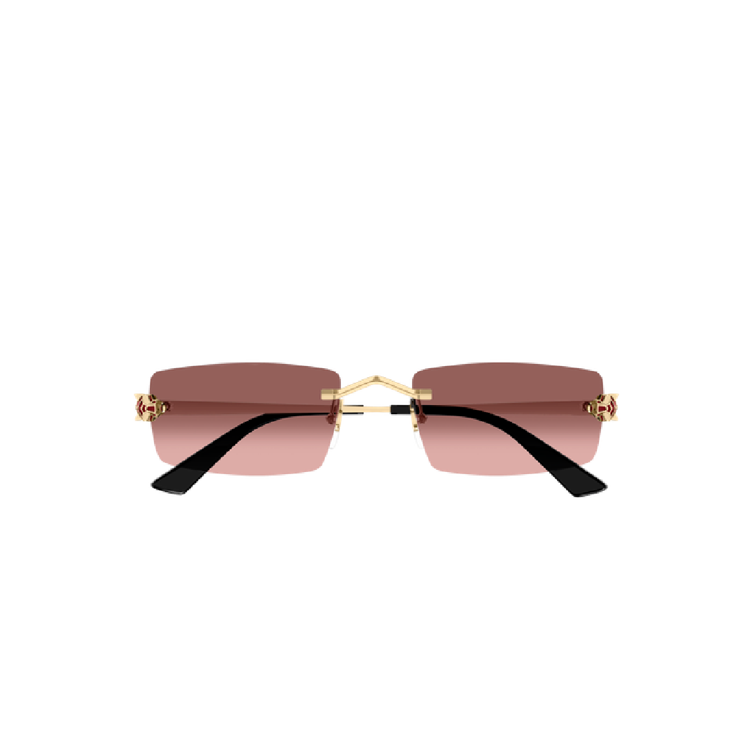 Gafas de sol Cartier CT0598S 004 55