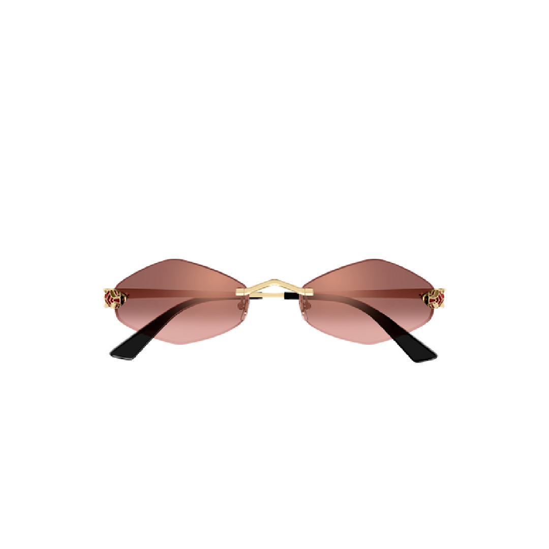 Gafas de sol Cartier CT0433S 006 55