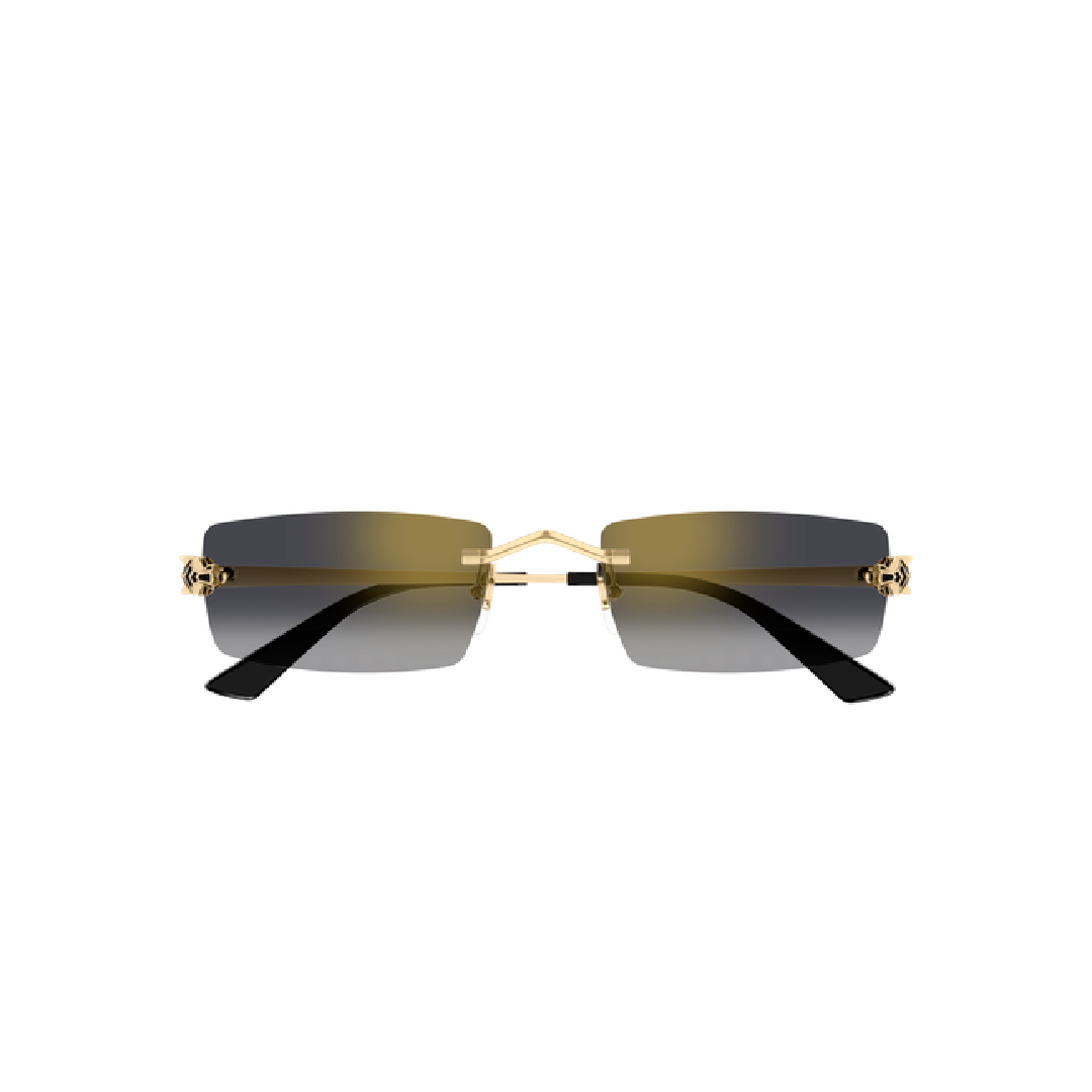 Gafas de sol cartier CT0598S-001 55