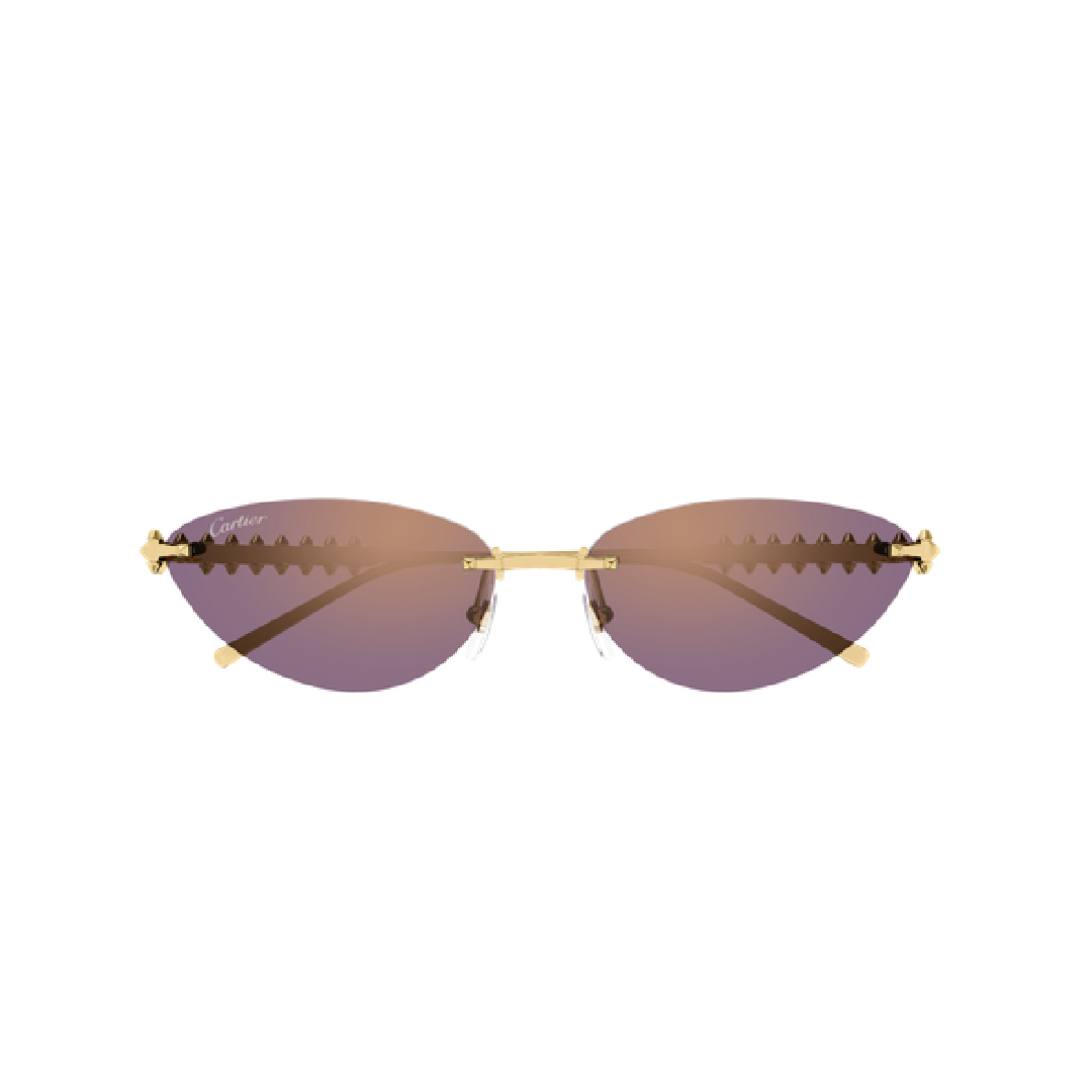 Gafas Cartier - CT0543S-004 58