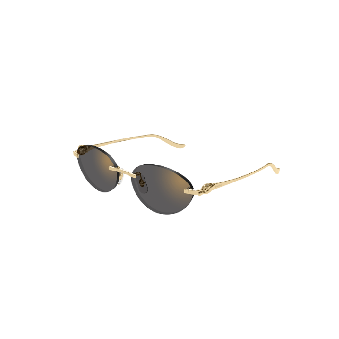 Gafas de Sol Cartier CT0504S-001