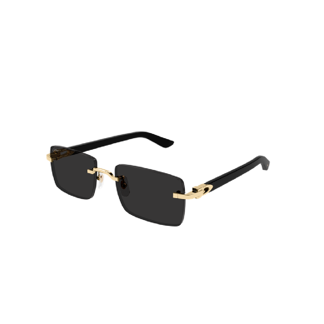 Gafas Cartier - CT0579S-001 55