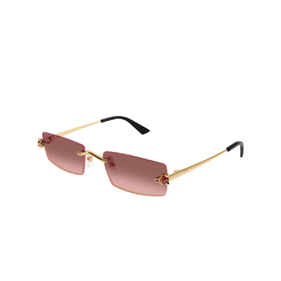 Gafas de sol Cartier CT0598S 004 55