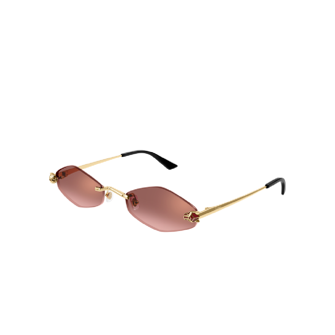 Gafas de sol Cartier CT0433S 006 55