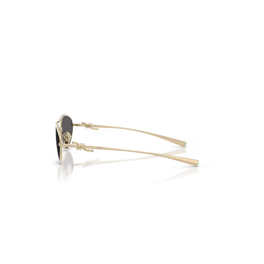 Gafas de sol Tiffany OTF3117 6021S4 58