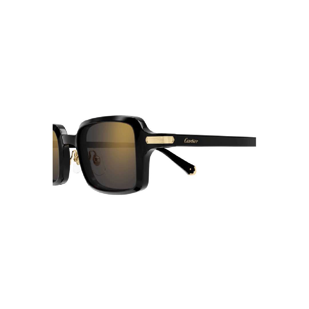 Gafas de Sol Cartier CT0539S-001 49