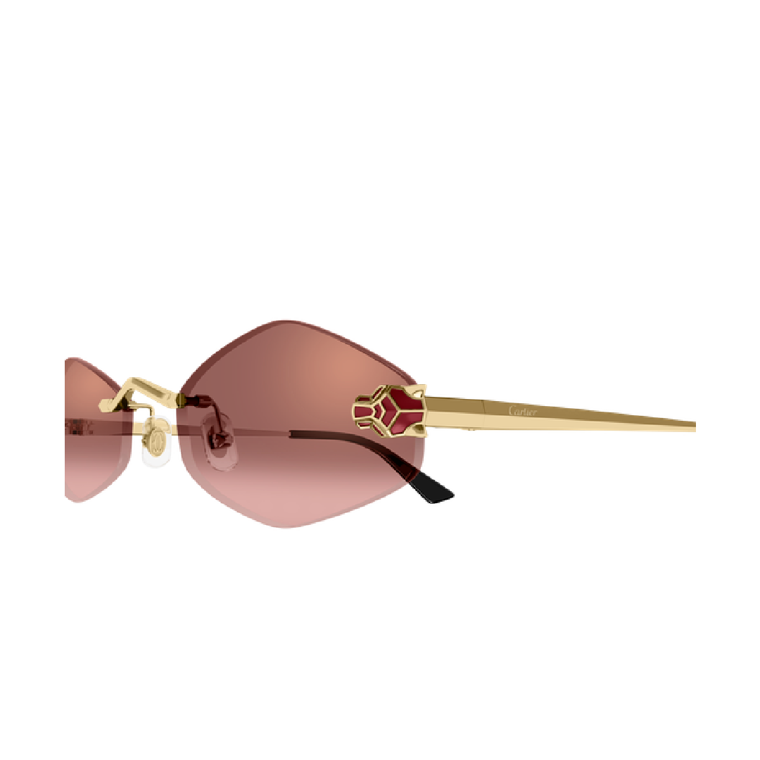 Gafas de sol Cartier CT0433S 006 55
