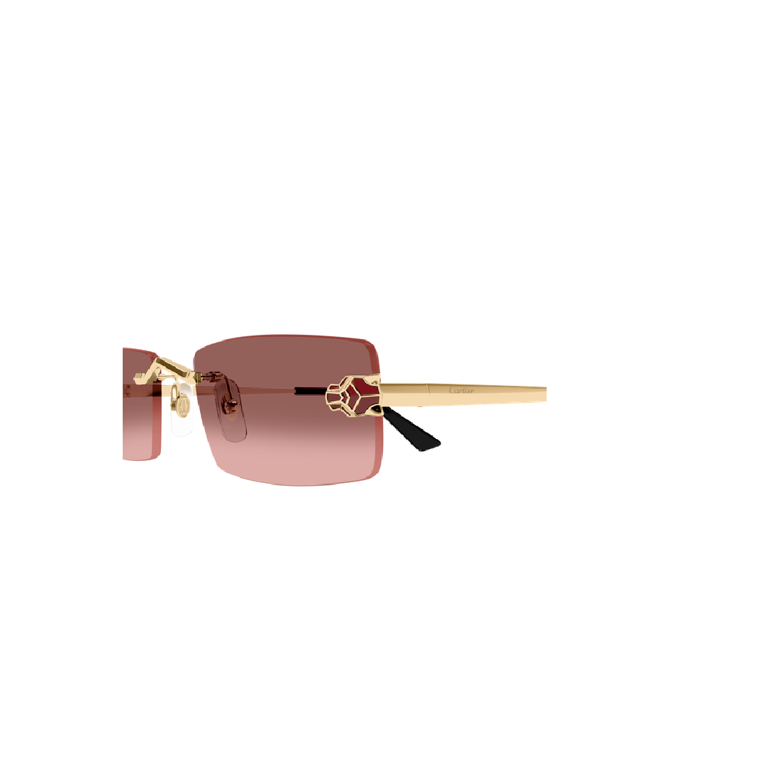 Gafas de sol Cartier CT0598S 004 55
