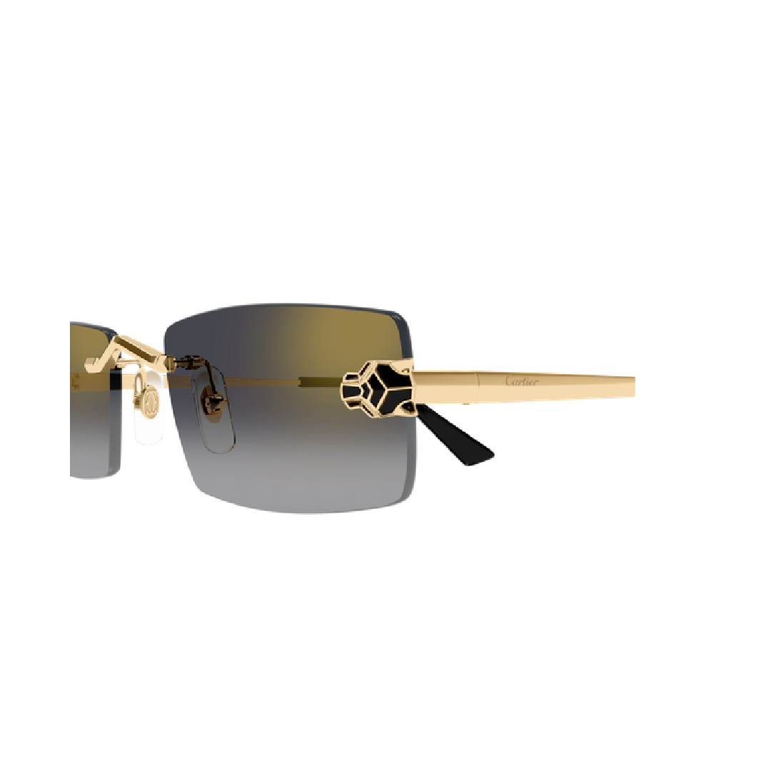 Gafas de sol cartier CT0598S-001 55