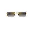 Gafas de Sol Cartier CT0622S-004 53
